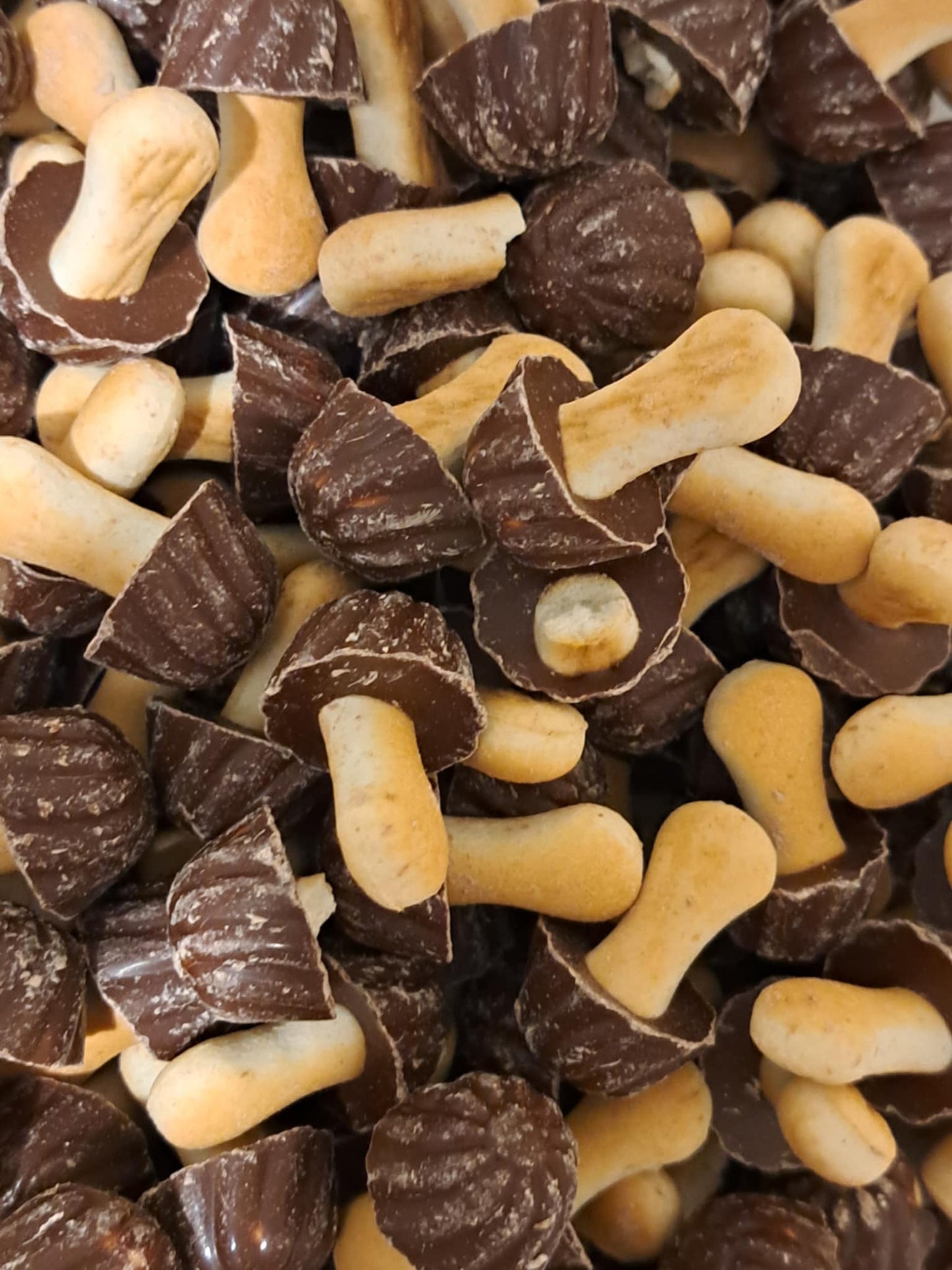 Champignons Chocolat x10