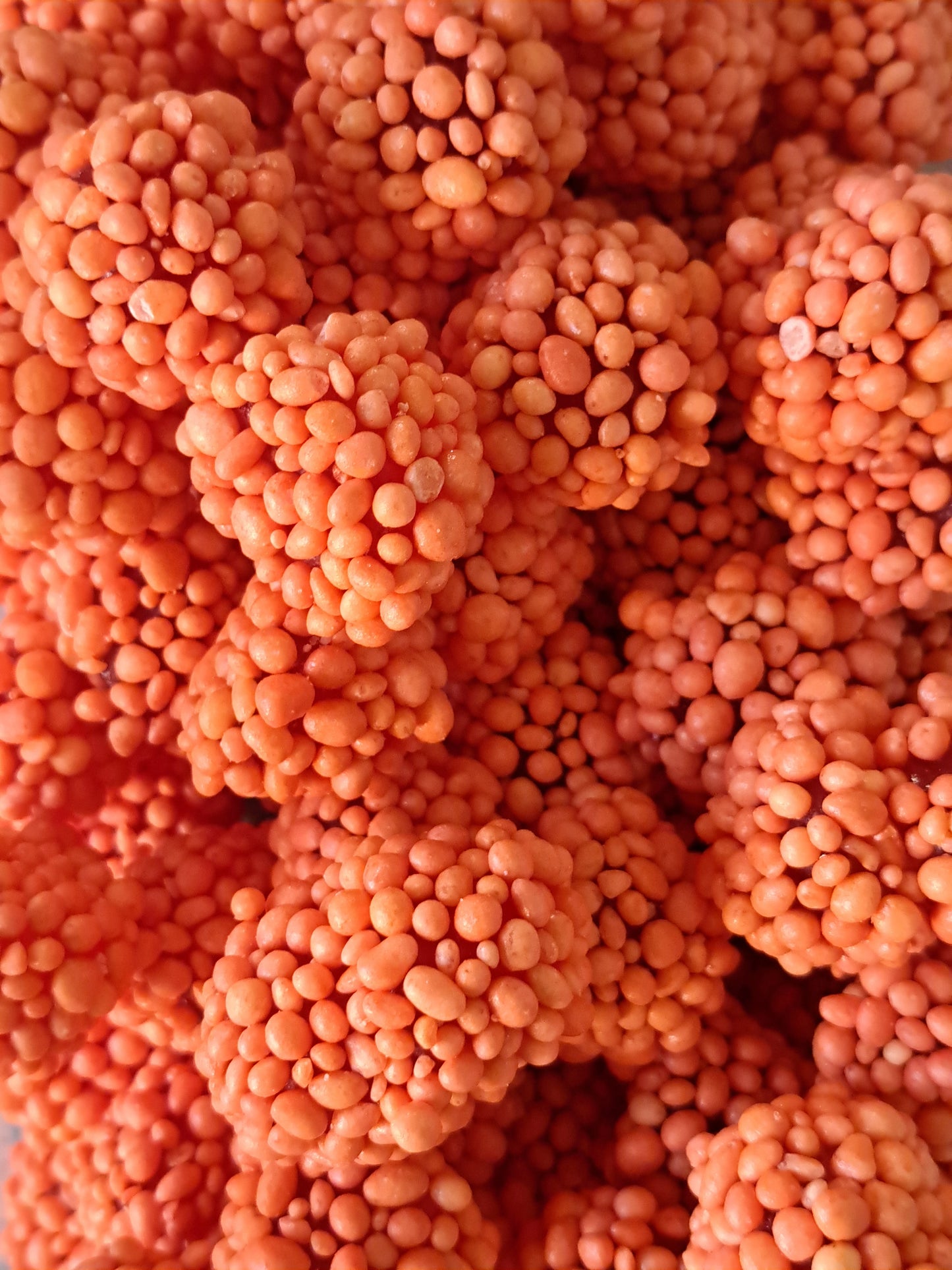 Mûres crunchy épicés (50GR)
