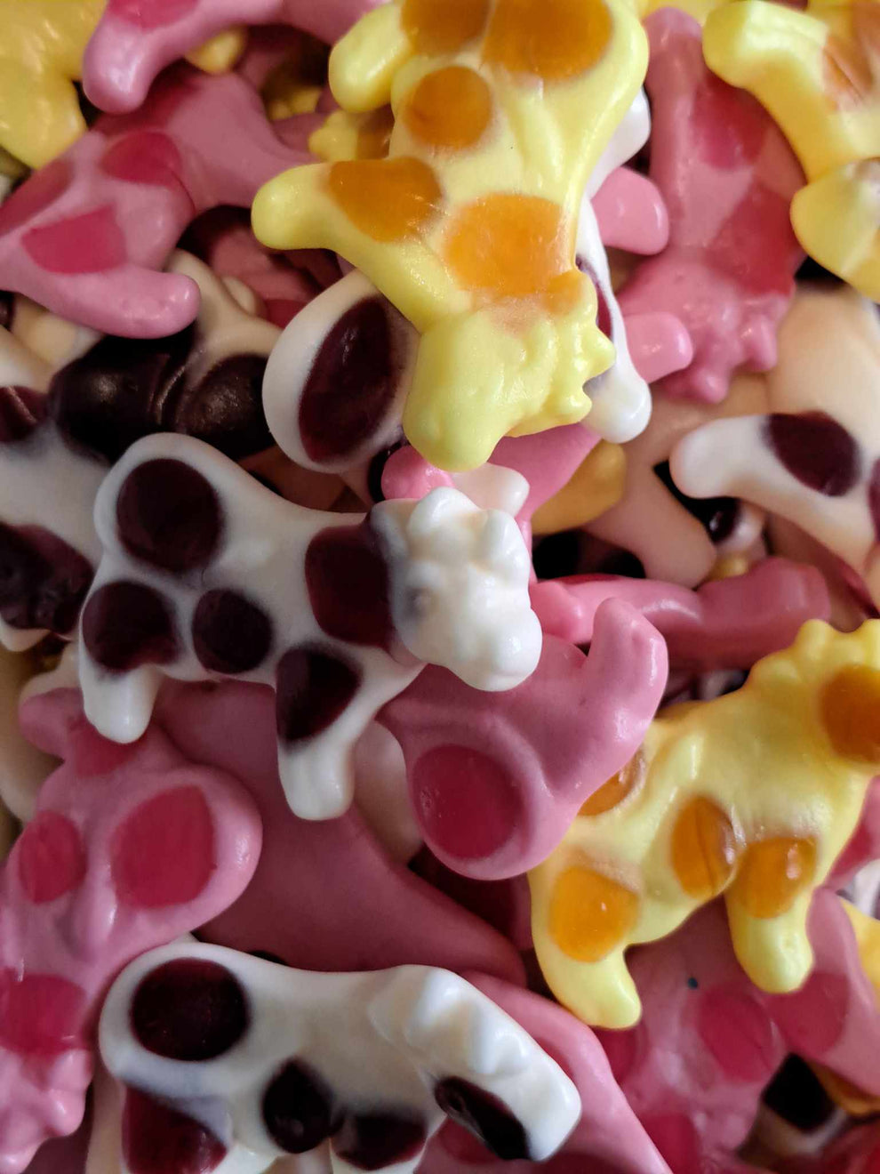 Vaches au lait (50GR)