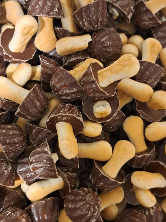 Champignons Chocolat x10