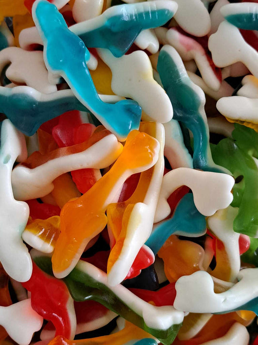 Requins Lisses Couleurs